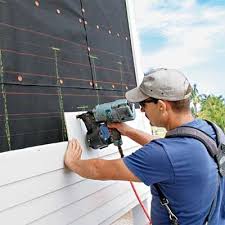 Best Siding Painting and Refinishing  in Brazoria, TX